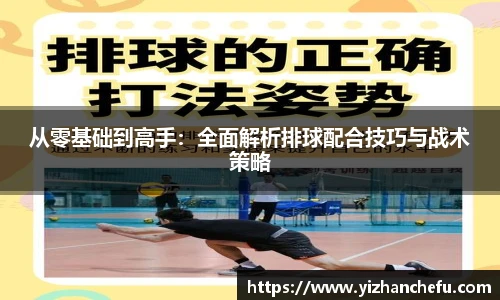 ac米兰官网从零基础到高手：全面解析排球配合技巧与战术策略